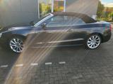 Audi A5  3.0 TDI Cabriolet quattro S line LEDER  - Audi Cabriolet: Allradantrieb