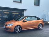 Volkswagen Golf 2.0 TDI 81kW BMT ALLSTAR Cabriolet ALLSTAR - Volkswagen Golf mit Diesel-Antrieb: Cabrio, 2.0