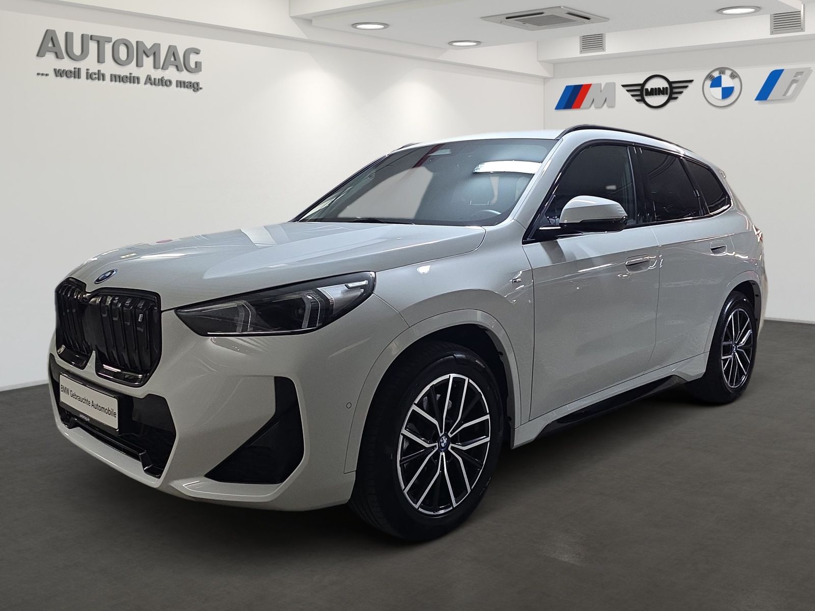 BMW iX1 xDrive30 M-Sport*DrivAssPlus*ParkAss*AHK
