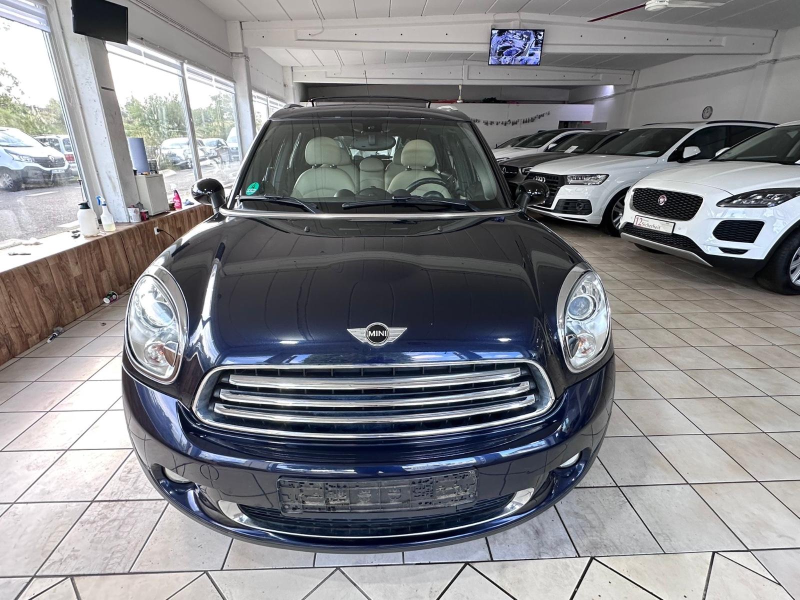 MINI Cooper Countryman Leder Panoramadach