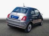 Fiat 500 1.0 Mild Hybrid Basis - Fiat 500 Gebrauchtwagen in Dresden