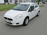 Fiat Punto  TÜV neu sparsamer Cityflitzer - : Kleinwagen, Sparsame