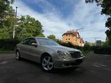 Mercedes-Benz E 320 ELEGANCE Elegance - Mercedes-Benz E 320: Elegance