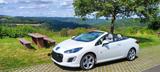 Peugeot 308 CC Roland Garros 155 THP Roland Garros - gebrauchte Peugeot Roadster