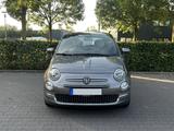 Fiat 500 Ellenator Dolcevita - Fiat 500 Ellenator Gebrauchtwagen