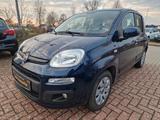 Fiat New Panda 1.2 8V LOUNGE - Fiat New Panda: Kleinwagen