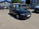 Audi A3 Cabriolet 1,8 TÜV/LEDER/KLIMA/MFL/SH/BC - Audi A3: Cabrio, 1.8