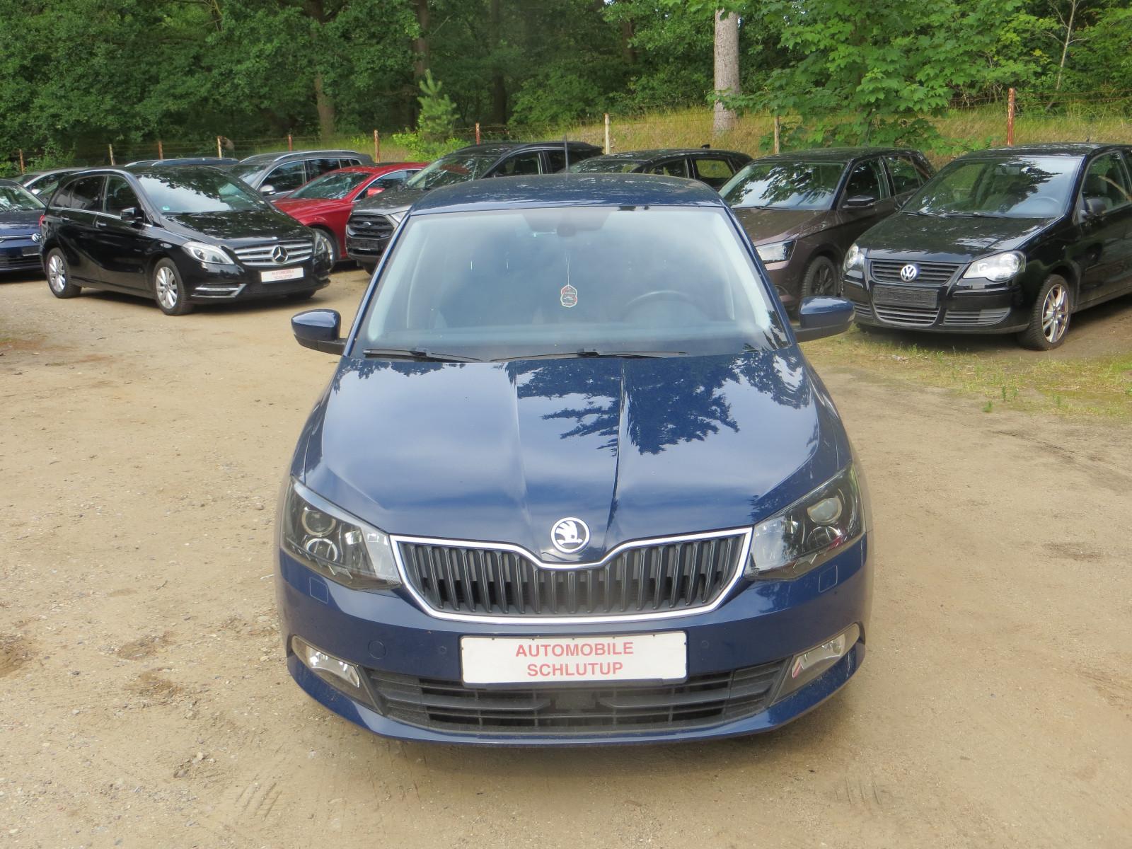Skoda Fabia Joy