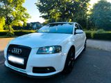 Audi A3 8P S-Line .2.0TDI. 170.PS.  avtoma... - Audi A3: TDI 170