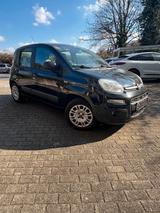 Fiat Panda Top Zustand*TÜV Neu*2016 Bj*wen... - Fiat Panda Gebrauchtwagen in Wuppertal