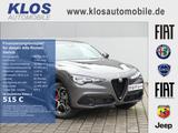 Alfa Romeo Stelvio VELOCE 2.2 DIESEL 16V 210 PS AT8 Q4 - Alfa Romeo Stelvio Tageszulassungen