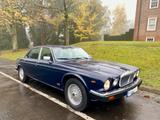 Jaguar Daimler Double Six komplett überholt  - Jaguar Daimler: Six Double
