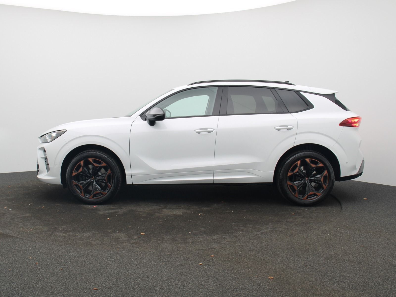 Cupra Terramar VZ 2.0 TSI 4Drive DSG HD-Matrix Navi foto 4