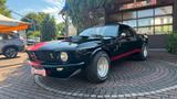 Ford Mustang Fastback"Shelby Tribute" Rallye-Car - Ford Mustang aus 1970