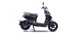 Motron Whizz - Motron Whizz