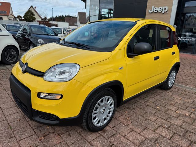 Fiat Panda Pandina Hybrid 1.0 GSE 51kw (70PS) Gelb