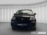 Fiat Pandina 1.0 GSE Hybrid 48 kW Icon - schwarze Fiat New Panda