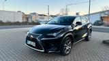 Lexus NX 300h Executive Line  - Lexus: Allradantrieb