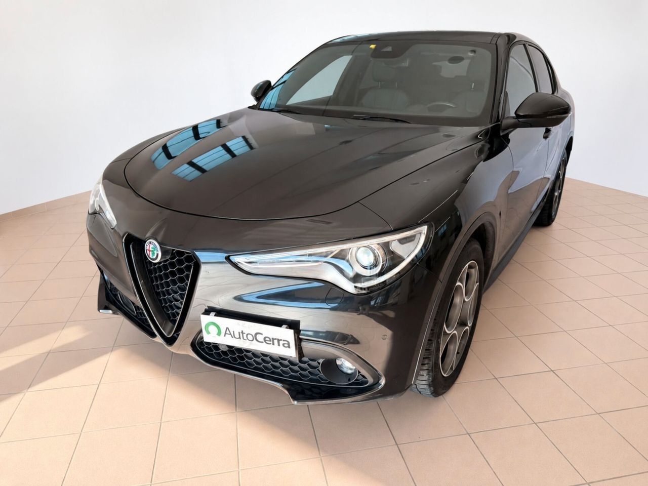 Other Alfa Romeo Stelvio 2.2 Turbodiesel 160 CV AT8 RW