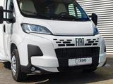 XGO Dynamic 39 Lounge 2025 ALL IN SUMMER SALE - XGO Diesel