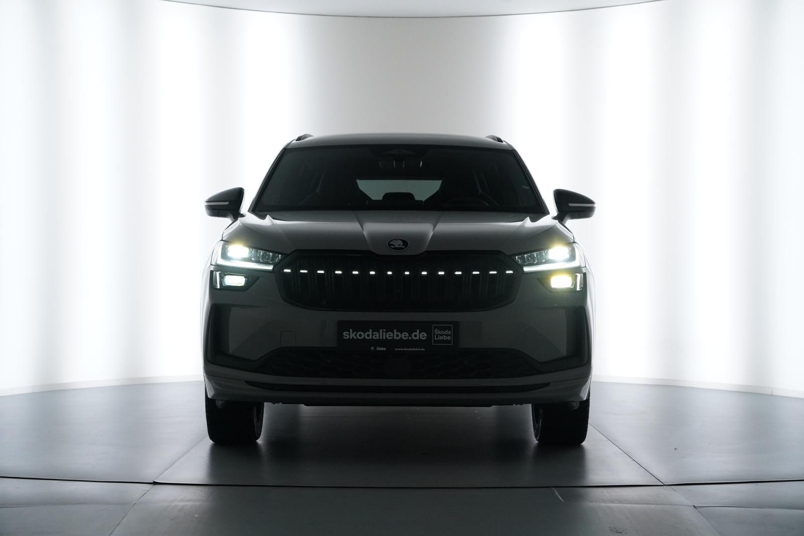 Skoda Kodiaq - Bild 3