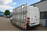 Mercedes-Benz Sprinter II 313CDI 2.2L L4H2 Glasreff Luft RFK+ - Mercedes-Benz Koffer C4 sprinter 313
