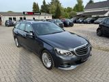 Mercedes-Benz E 350 T/D 9G-MEMORY-LED-NAVI-H&K-KAM-S.DACH-DTR+ - Mercedes-Benz E 350: Kombi