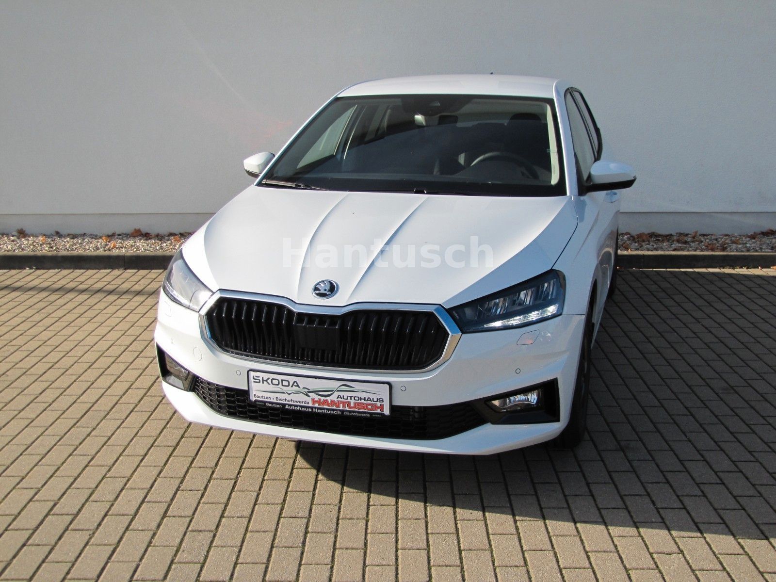 Fahrzeugabbildung SKODA Fabia Selection 1.0l TSI 95PS