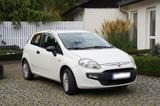 Fiat FIAT Punto Evo 1.2  Gepflegter Cityflitze... - gebrauchte Fiat Punto Evo aus dem Jahr 2009