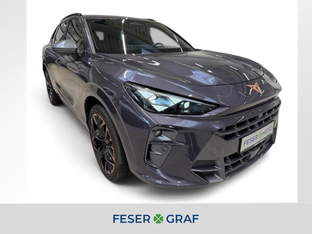 Image of Cupra Terramar