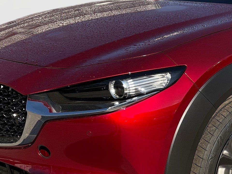 Fahrzeugabbildung Mazda CX-30 X 2.0i 186PS A/T AWD Homura