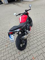 Suzuki SV 650  - SUZUKI 650