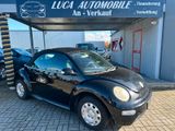 Volkswagen New Beetle Cabriolet 1.4 - Volkswagen New Beetle mit Benzin-Antrieb: Cabrio, 1.4
