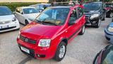 Fiat Panda 1.3 MJT 16V 4x4 - Fiat Panda mit Schiebedach