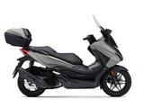 Honda NSS 125 Forza  ,Vorführer - HONDA NS 1