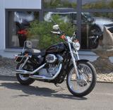 Harley-Davidson Sportster XL 883 Custom aus 2. Hand - Angebote