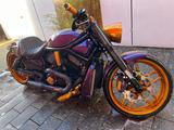 Harley-Davidson Night Rod ...300er !!! - HARLEY-DAVIDSON 300