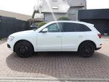 Audi Q5 2.0 TFSI quattro Pano-LEDER-NAVI-KAMERA !!! - Audi Q5 mit Benzin-Antrieb