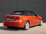 BMW 220i Cabrio Aut. Navi CD PDC Kamera LED Tempomat - BMW 220 in Stuttgart