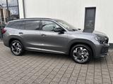 Skoda Kodiaq 1.5 TSI DSG Sportline (AHK,Kam.,5/100) - Skoda Tageszulassungen