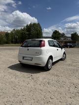 Fiat Punto 1.2 8V  76.577 km  TÜV bis 09/25 - Fiat Punto von privat