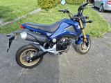 Honda MSX125 - Honda Motorräder in Dresden