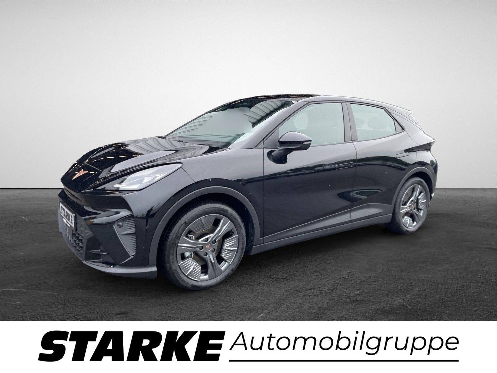 Cupra Raval Endurance  LED Kamera PDC LM Tempo Klima