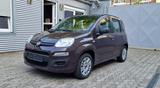 Fiat Panda 1.2 Benzin, 5 Sitze , Klima, ServoCity - Fiat Panda Gebrauchtwagen in Düsseldorf