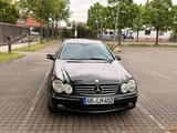 Mercedes-Benz CLK 270 CDI AVANTGARDE Avantgarde - Mercedes-Benz CLK 270 Gebrauchtwagen
