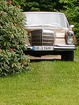 Mercedes-Benz 250S /280S Zugelassen.  - Mercedes-Benz 250 aus 1967: 250s