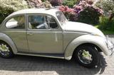 Volkswagen Käfer - graue Volkswagen Käfer