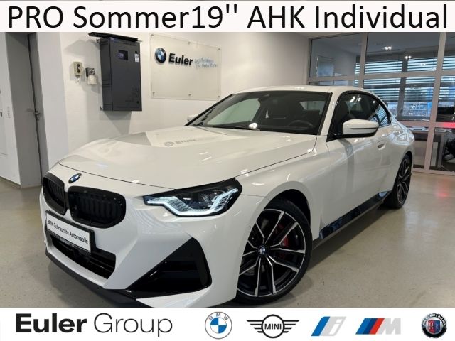 BMW 220 i M-Sport PRO Sommer19'' AHK Individual Glas