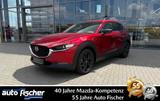 Mazda CX-30 2.0 (186PS) FWD Autom. Homura Sitzheizung  - Mazda CX-30: Automatik