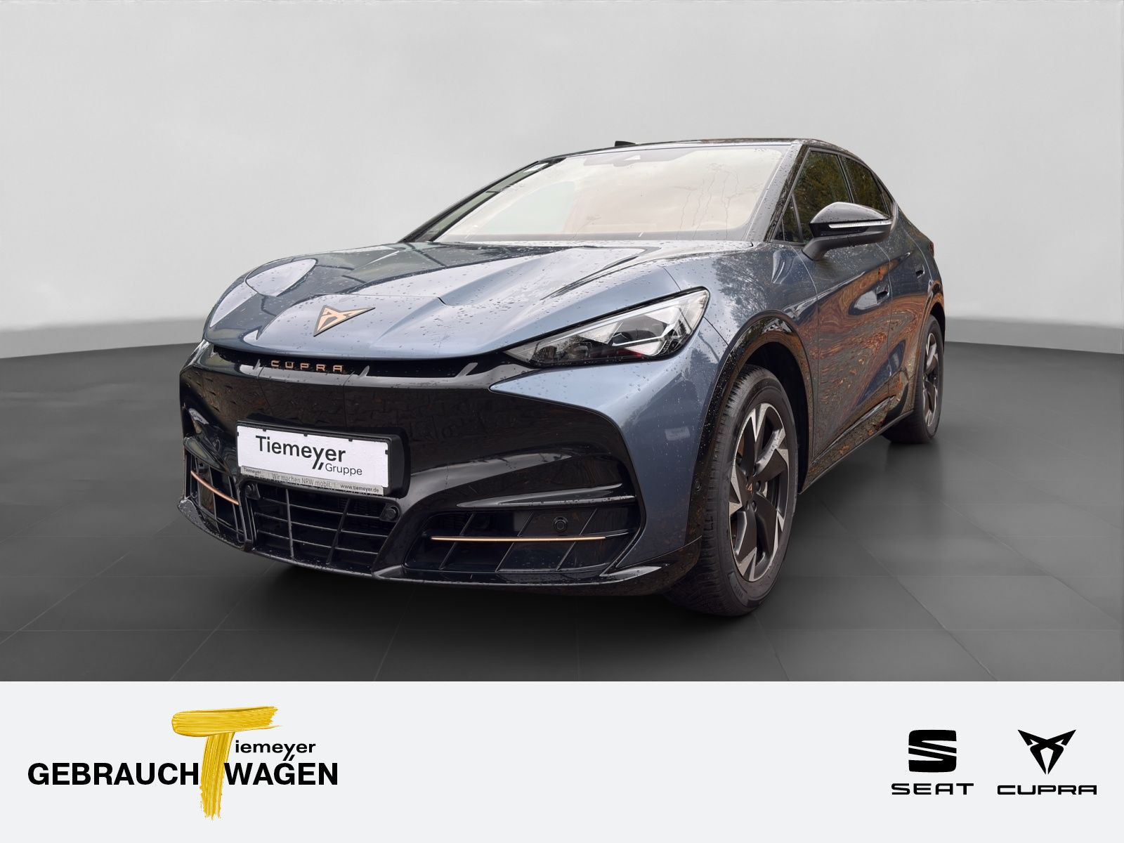 Cupra Tavascan Endurance SIDE-ASSIST W-PUMPE MATRIX PA